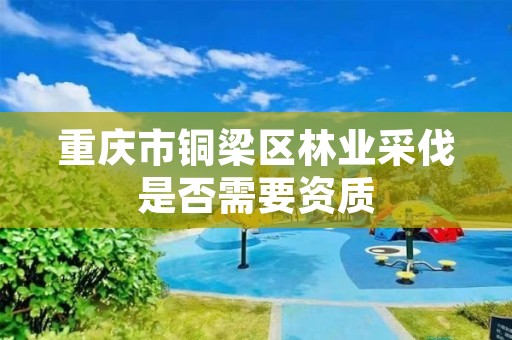 重庆市铜梁区林业采伐是否需要资质