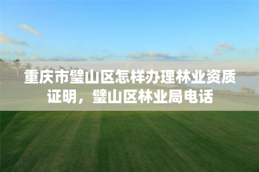 重庆市璧山区怎样办理林业资质证明,璧山区林业局电话