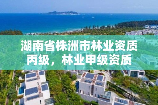 湖南省株洲市林业资质丙级，林业甲级资质