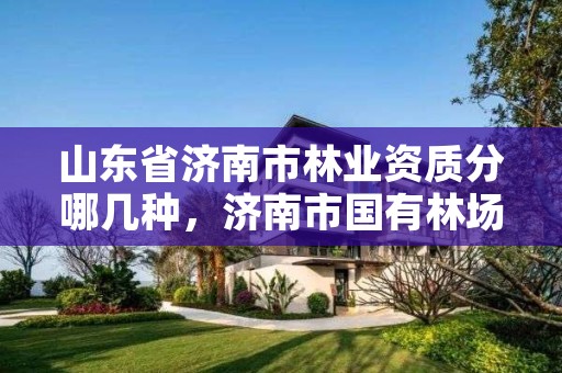 山东省济南市林业资质分哪几种,济南市国有林场