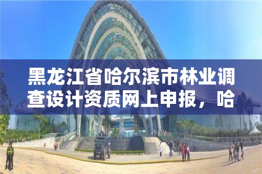 黑龙江省哈尔滨市林业调查设计资质网上申报,哈尔滨林业厅官网
