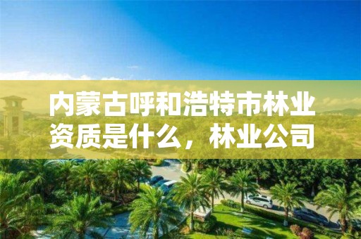 内蒙古呼和浩特市林业资质是什么,林业公司资质有哪几个