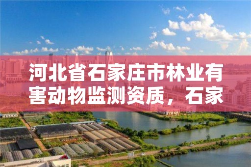 河北省石家庄市林业有害动物监测资质，石家庄有没有动物保护协会