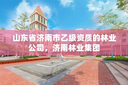 山东省济南市乙级资质的林业公司,济南林业集团