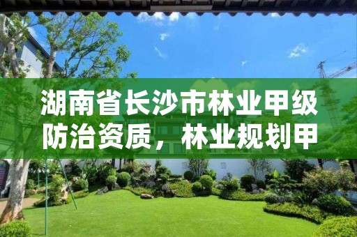 湖南省长沙市林业甲级防治资质,林业规划甲级资质单位