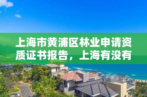 上海市黄浦区林业申请资质证书报告,上海有没有林业局