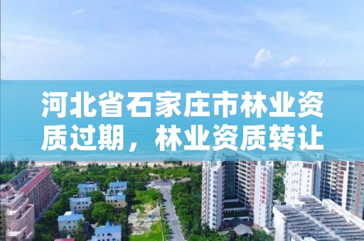 河北省石家庄市林业资质过期，林业资质转让
