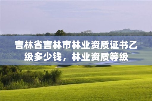 吉林省吉林市林业资质证书乙级多少钱,林业资质等级