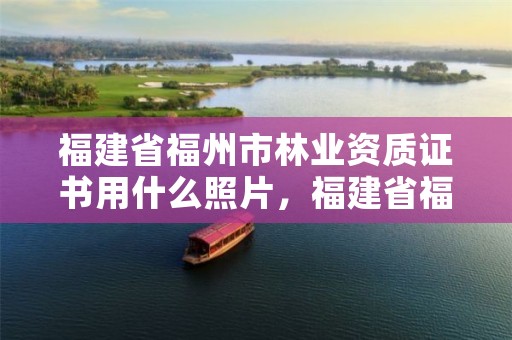 福建省福州市林业资质证书用什么照片，福建省福州市林业资质证书用什么照片可以查到