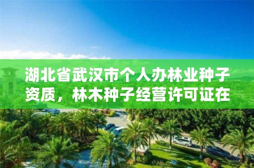湖北省武汉市个人办林业种子资质,林木种子经营许可证在哪里办