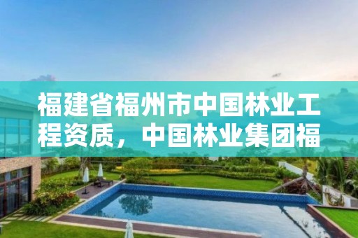福建省福州市中国林业工程资质，中国林业集团福建