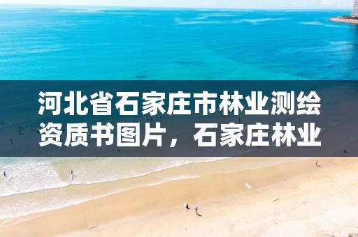 河北省石家庄市林业测绘资质书图片,石家庄林业局招标公告