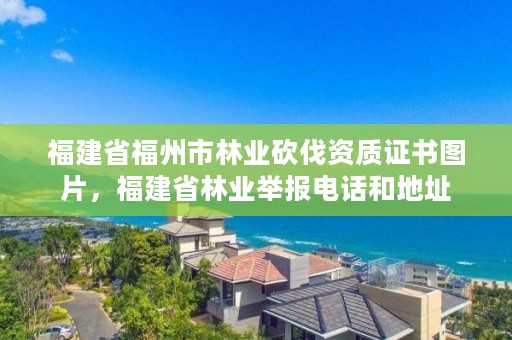 福建省福州市林业砍伐资质证书图片，福建省林业举报电话和地址