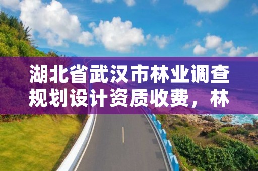 湖北省武汉市林业调查规划设计资质收费,林业调查规划设计资质申报