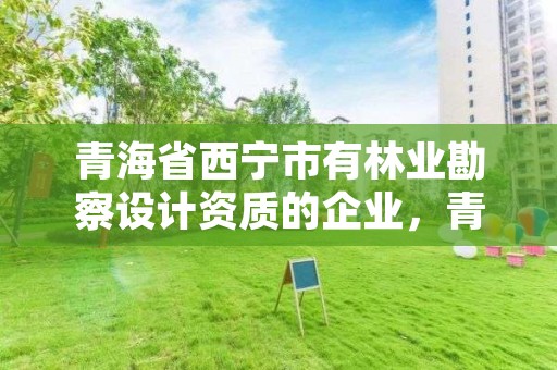 青海省西宁市有林业勘察设计资质的企业，青海省西宁市有林业勘察设计资质的企业名单
