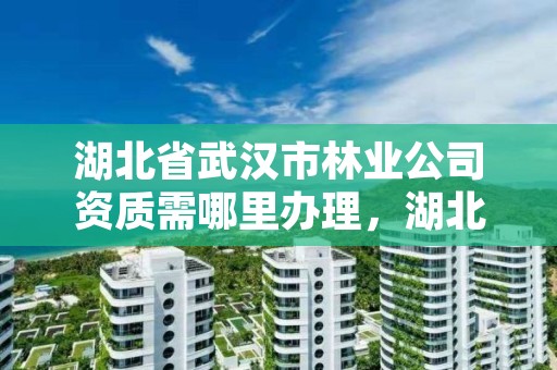 湖北省武汉市林业公司资质需哪里办理，湖北武汉林业局电话号码
