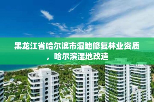 黑龙江省哈尔滨市湿地修复林业资质,哈尔滨湿地改造