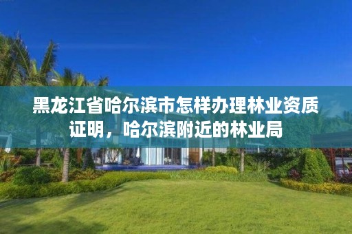 黑龙江省哈尔滨市怎样办理林业资质证明,哈尔滨附近的林业局