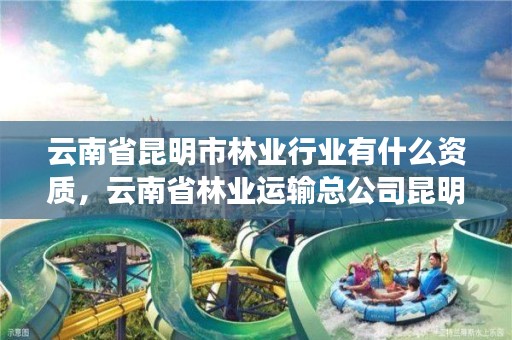 云南省昆明市林业行业有什么资质,云南省林业运输总公司昆明分公司
