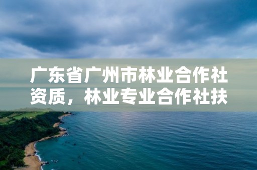 广东省广州市林业合作社资质，林业专业合作社扶持政策