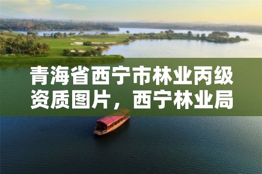 青海省西宁市林业丙级资质图片,西宁林业局官网