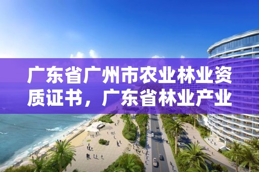 广东省广州市农业林业资质证书，广东省林业产业协会