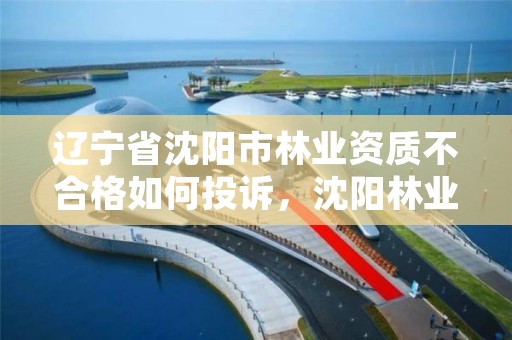 辽宁省沈阳市林业资质不合格如何投诉,沈阳林业局举报电话