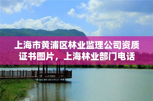 上海市黄浦区林业监理公司资质证书图片,上海林业部门电话