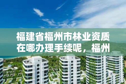 福建省福州市林业资质在哪办理手续呢，福州市林业局电话号码多少