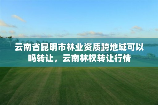 云南省昆明市林业资质跨地域可以吗转让,云南林权转让行情