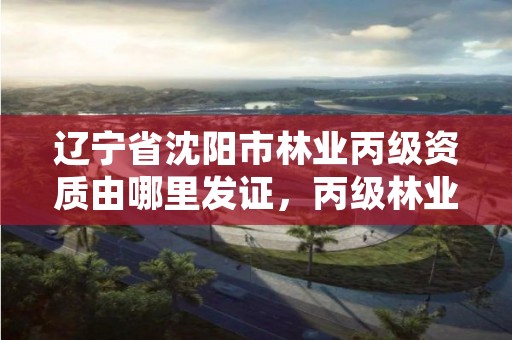 辽宁省沈阳市林业丙级资质由哪里发证,丙级林业规划设计资质