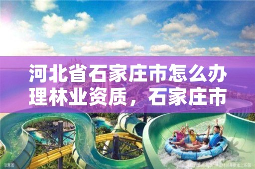 河北省石家庄市怎么办理林业资质，石家庄市林业局办公室电话