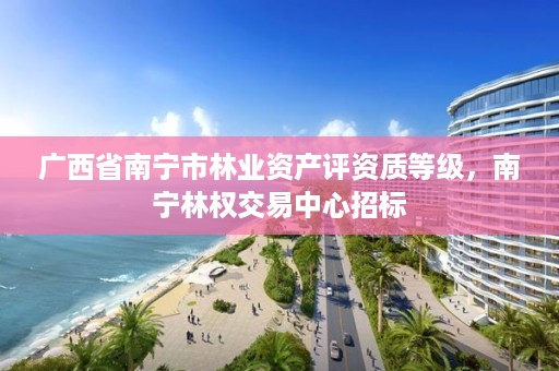 广西省南宁市林业资产评资质等级,南宁林权交易中心招标