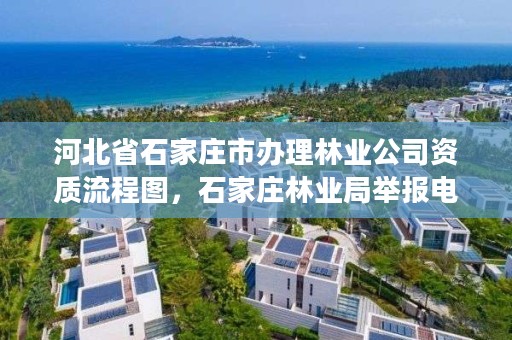 河北省石家庄市办理林业公司资质流程图，石家庄林业局举报电话