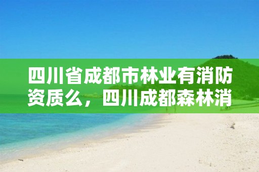 四川省成都市林业有消防资质么,四川成都森林消防总队