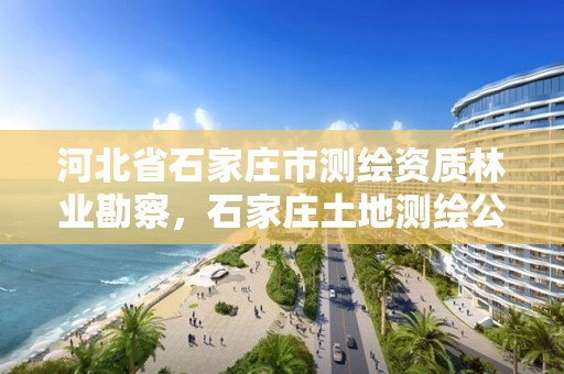 河北省石家庄市测绘资质林业勘察，石家庄土地测绘公司