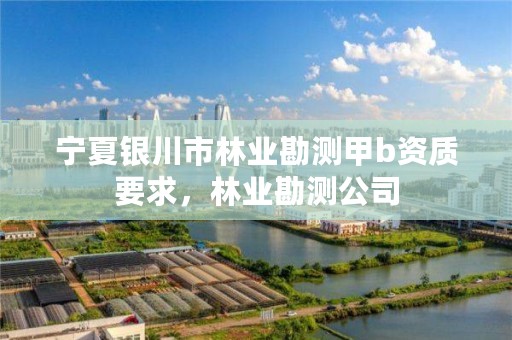 宁夏银川市林业勘测甲b资质要求,林业勘测公司