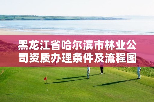 黑龙江省哈尔滨市林业公司资质办理条件及流程图解,哈尔滨林业集团