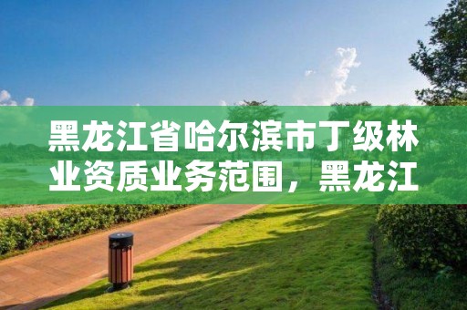 黑龙江省哈尔滨市丁级林业资质业务范围,黑龙江省哈尔滨市林业局官网