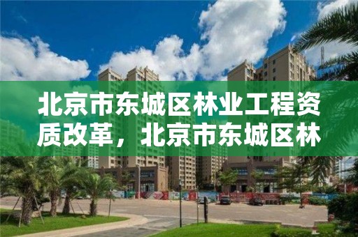北京市东城区林业工程资质改革,北京市东城区林业工程资质改革方案