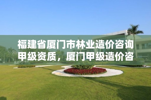 福建省厦门市林业造价咨询甲级资质，厦门甲级造价咨询公司