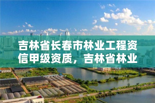 吉林省长春市林业工程资信甲级资质,吉林省林业工程公司
