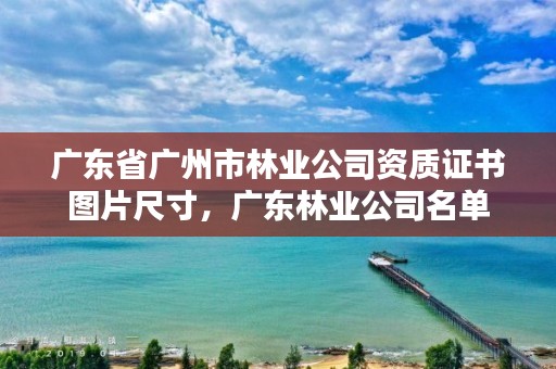 广东省广州市林业公司资质证书图片尺寸,广东林业公司名单