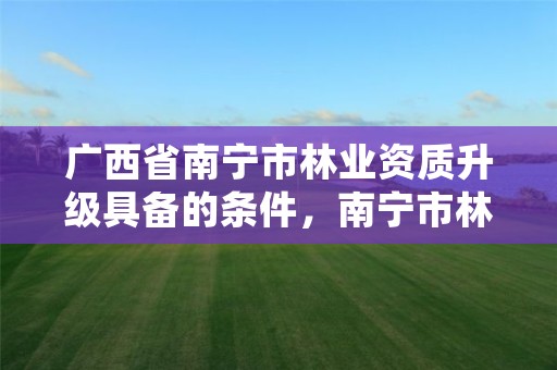广西省南宁市林业资质升级具备的条件,南宁市林业产业行业协会