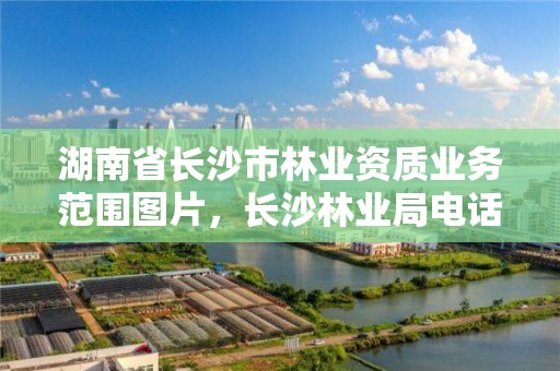 湖南省长沙市林业资质业务范围图片,长沙林业局电话号码