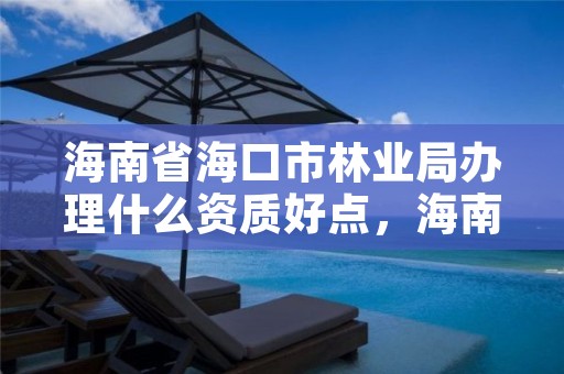 海南省海口市林业局办理什么资质好点,海南省林业局怎么样