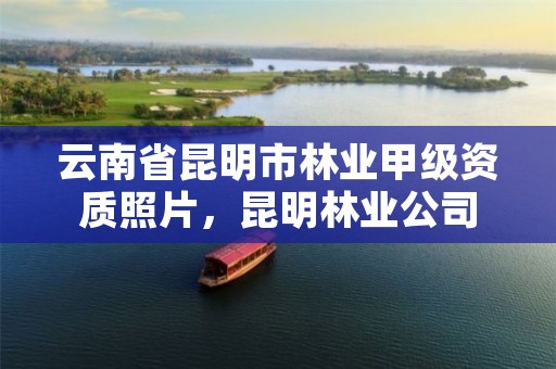 云南省昆明市林业甲级资质照片,昆明林业公司
