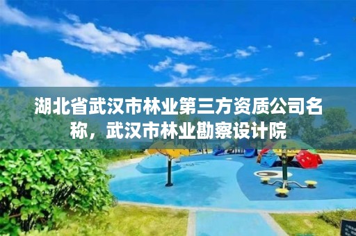 湖北省武汉市林业第三方资质公司名称，武汉市林业勘察设计院