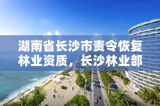 湖南省长沙市责令恢复林业资质,长沙林业部门