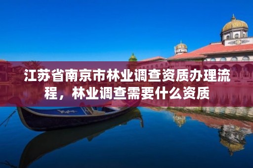 江苏省南京市林业调查资质办理流程,林业调查需要什么资质
